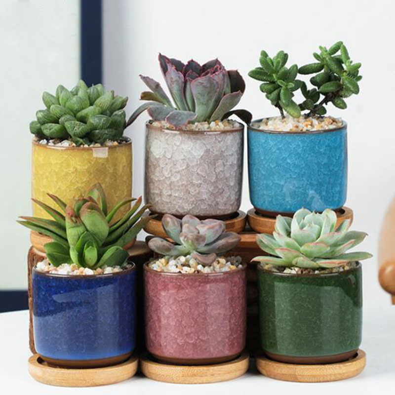 6 stks/set Keramische Bloempot - Echeveria Succulent recensie en prijs
