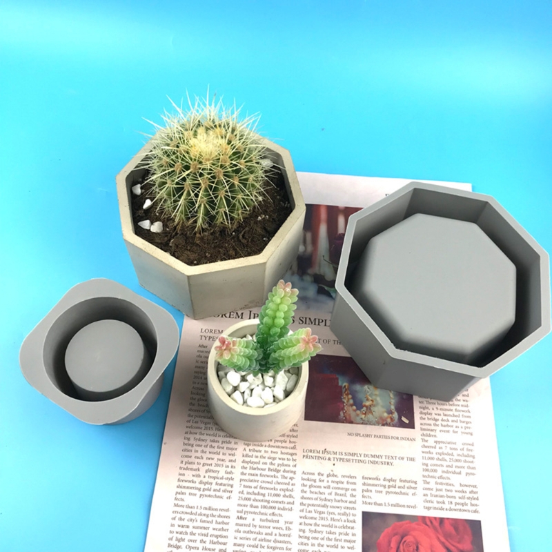 Handgemaakte Sappige Planter B - Echeveria Succulent recensie en prijs